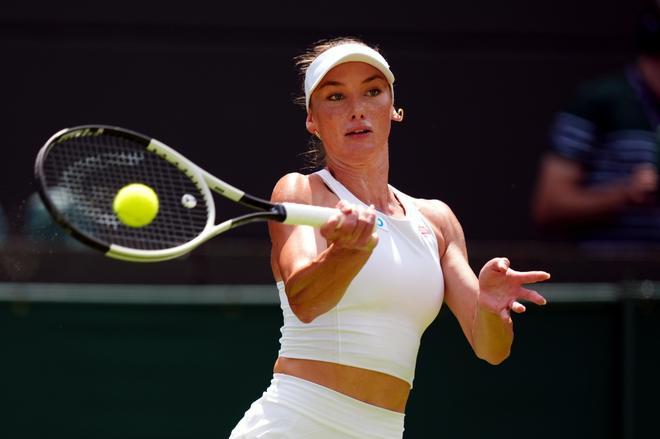 也是中国网 也是中国网