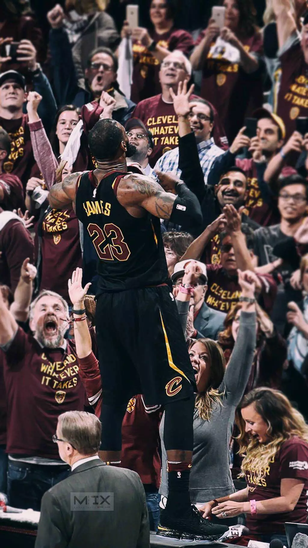 标准版重性 标准版重性